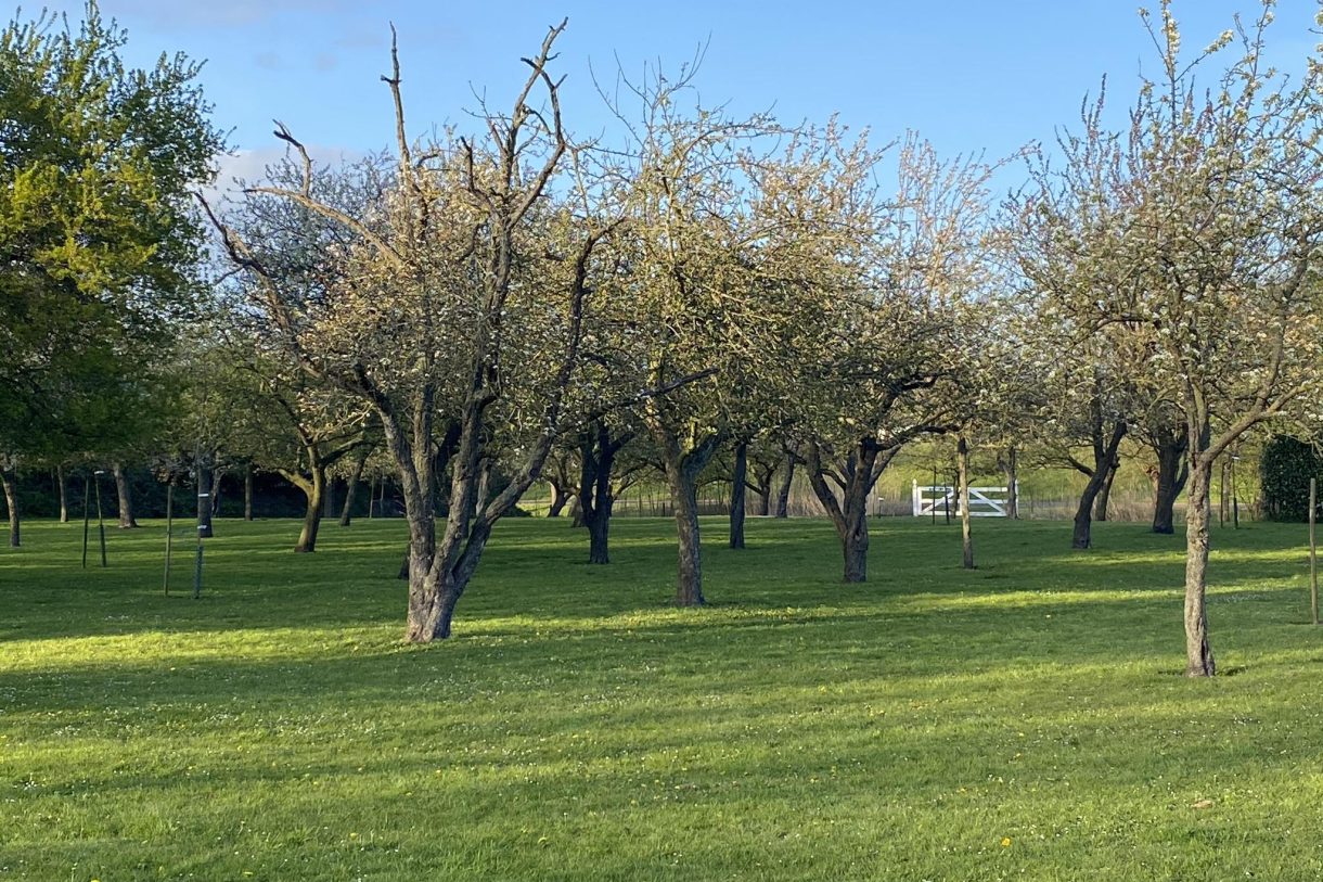 Te koop: Foto Bouwgrond aan de Gapersweg ong in Hattem