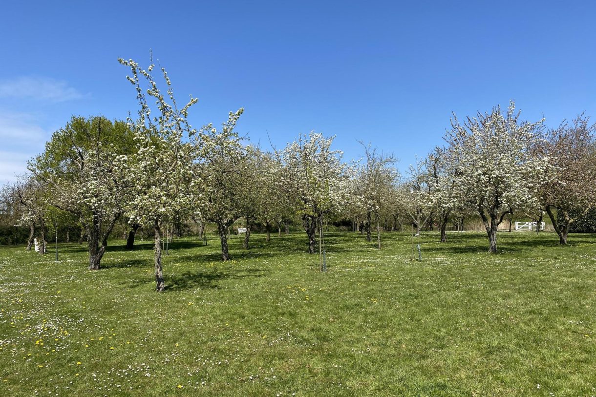 Te koop: Foto Bouwgrond aan de Gapersweg ong in Hattem