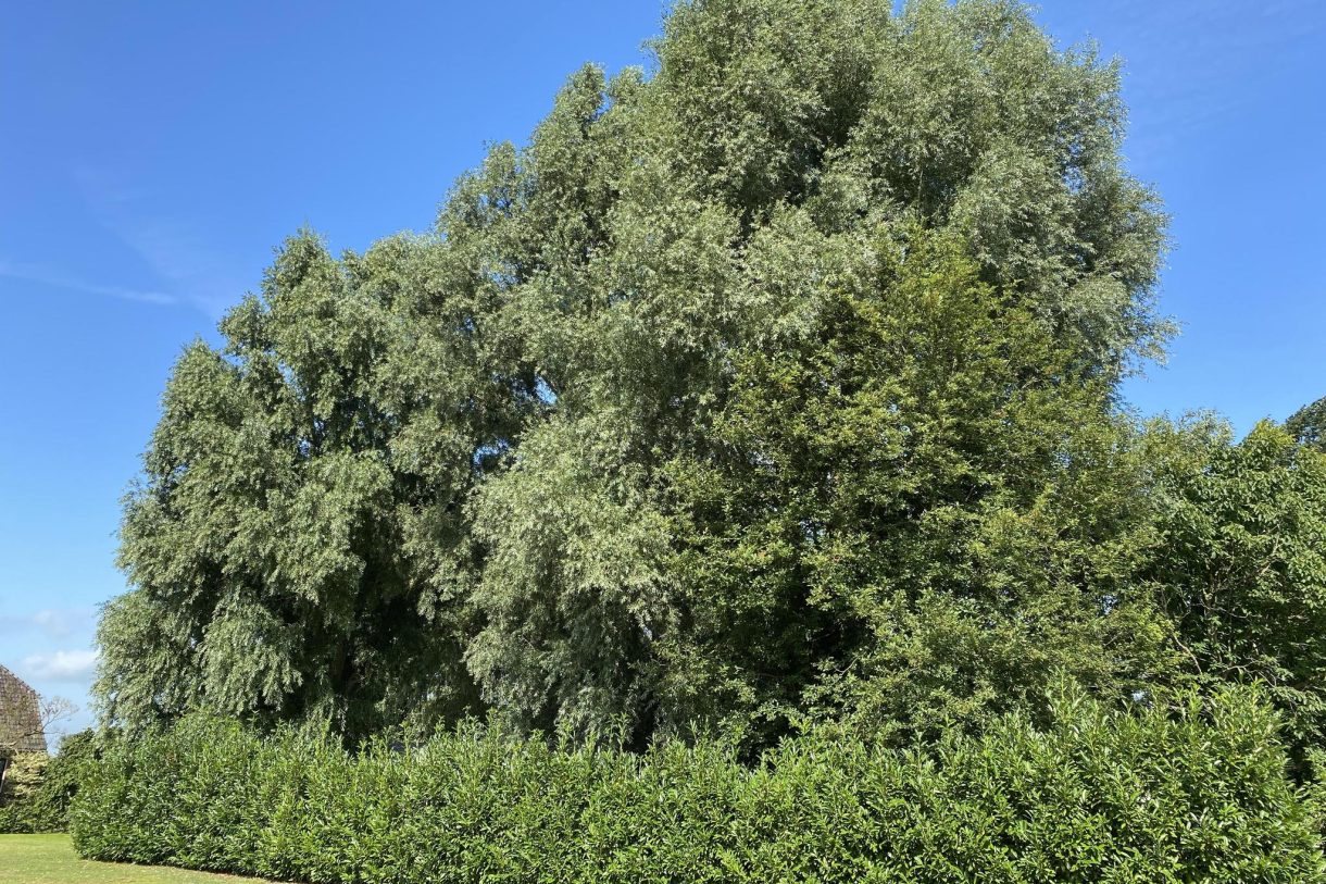 Te koop: Foto Bouwgrond aan de Gapersweg ong in Hattem