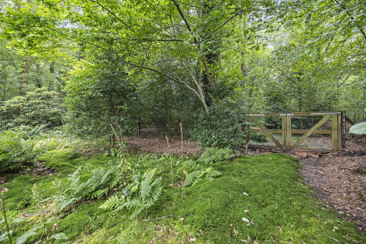 Te koop: Foto Woonhuis aan de van Deldensweg 16 in Hattem