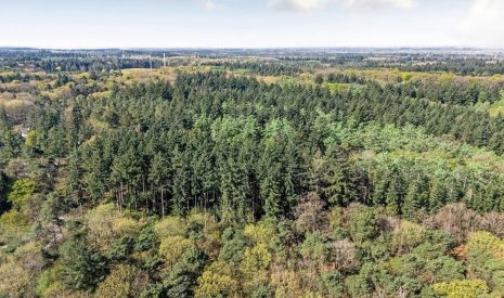 Te koop: Foto Woonhuis aan de Veldweg 49 in Hattem