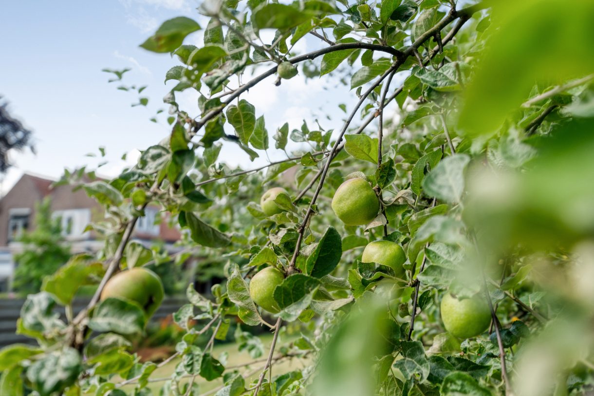 Te koop: Foto Woonhuis aan de Nieuwe Deventerweg 115 in Zwolle