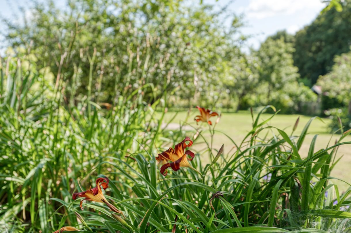 Te koop: Foto Woonhuis aan de Nieuwe Deventerweg 115 in Zwolle